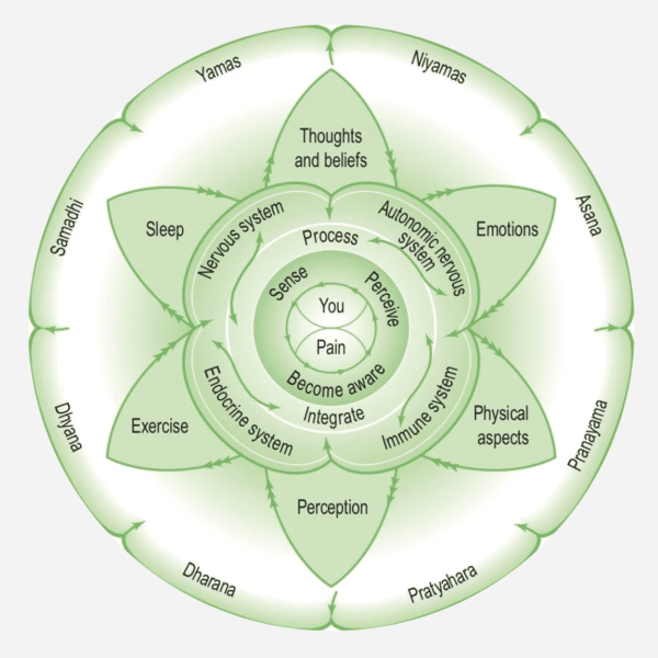mandala diagram