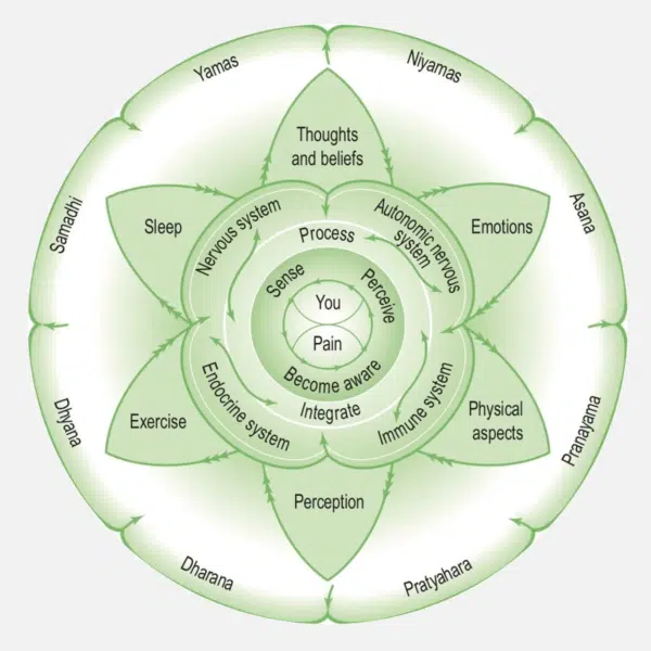 mandala diagram